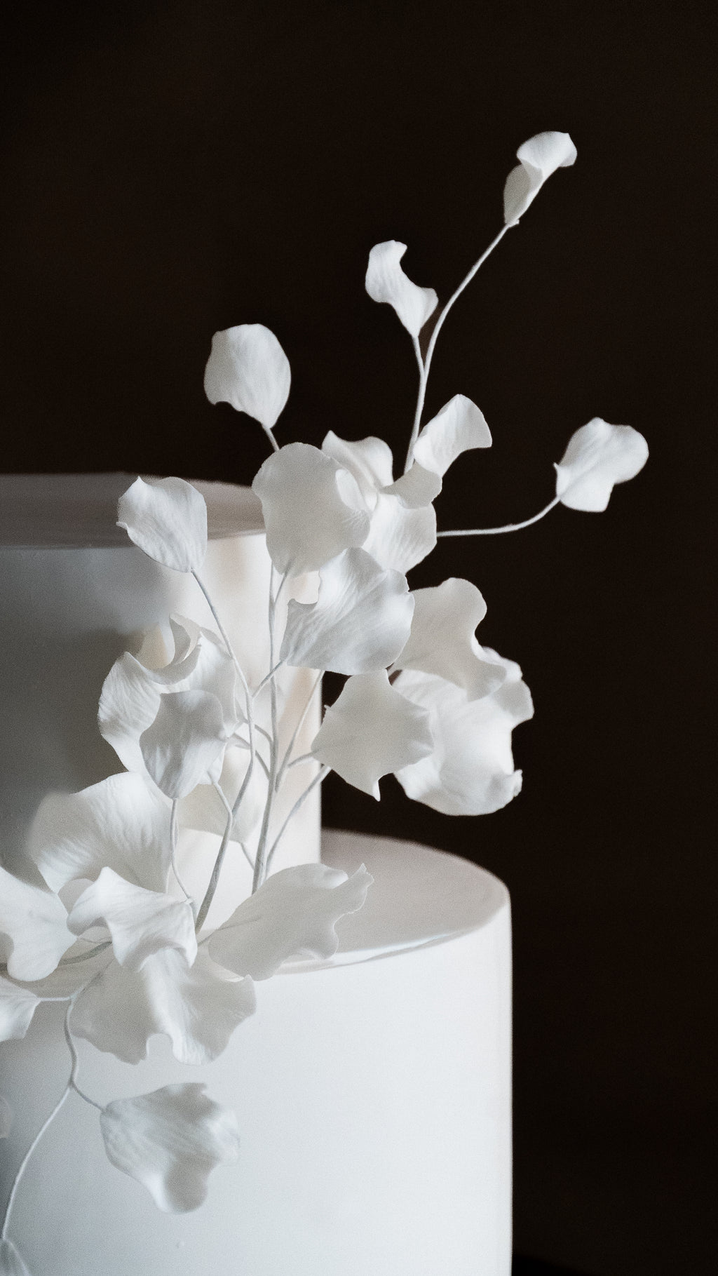 The Petal