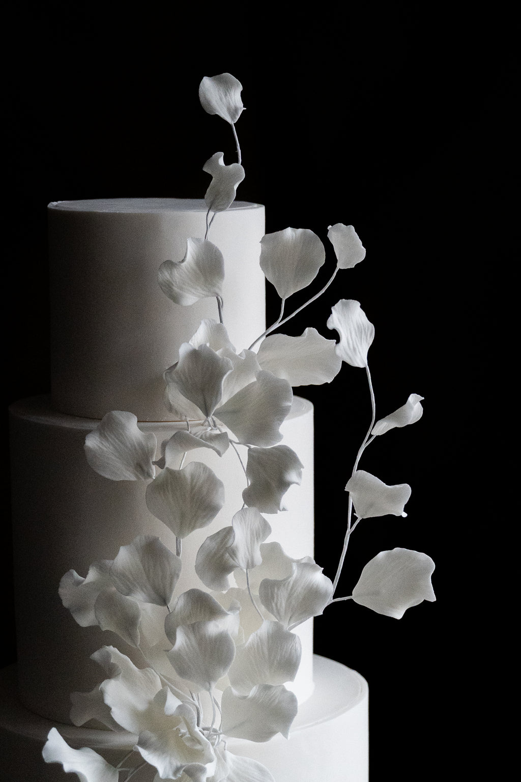 The Petal