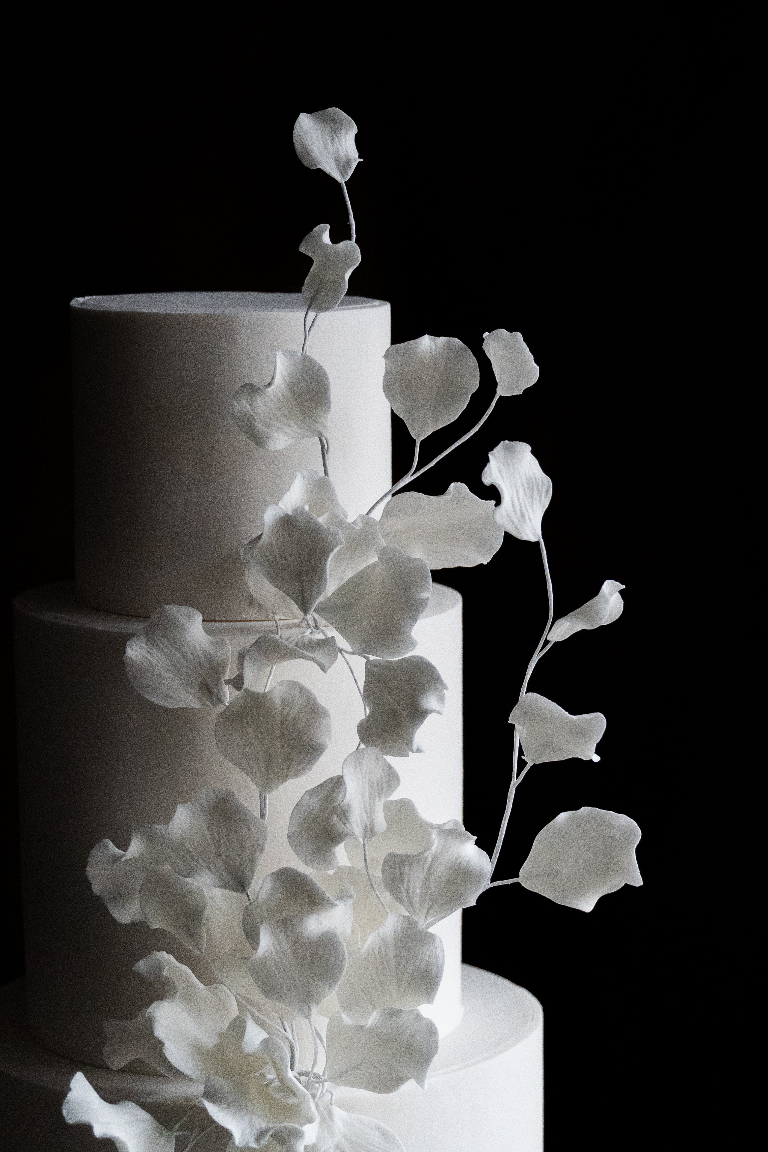 The Petal
