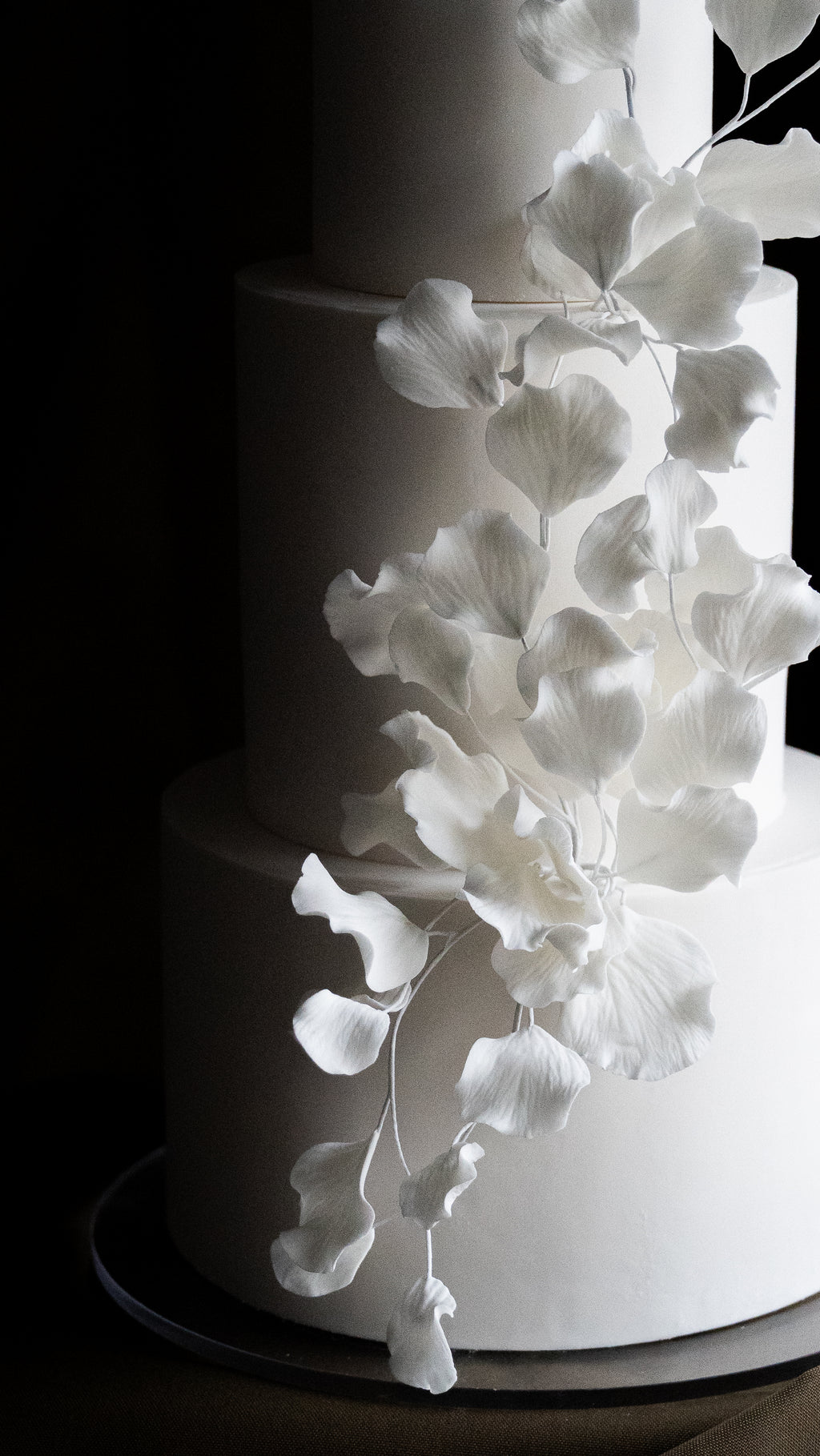 The Petal